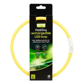 Animal Instincts Flashing Loop Collar Rechargeable