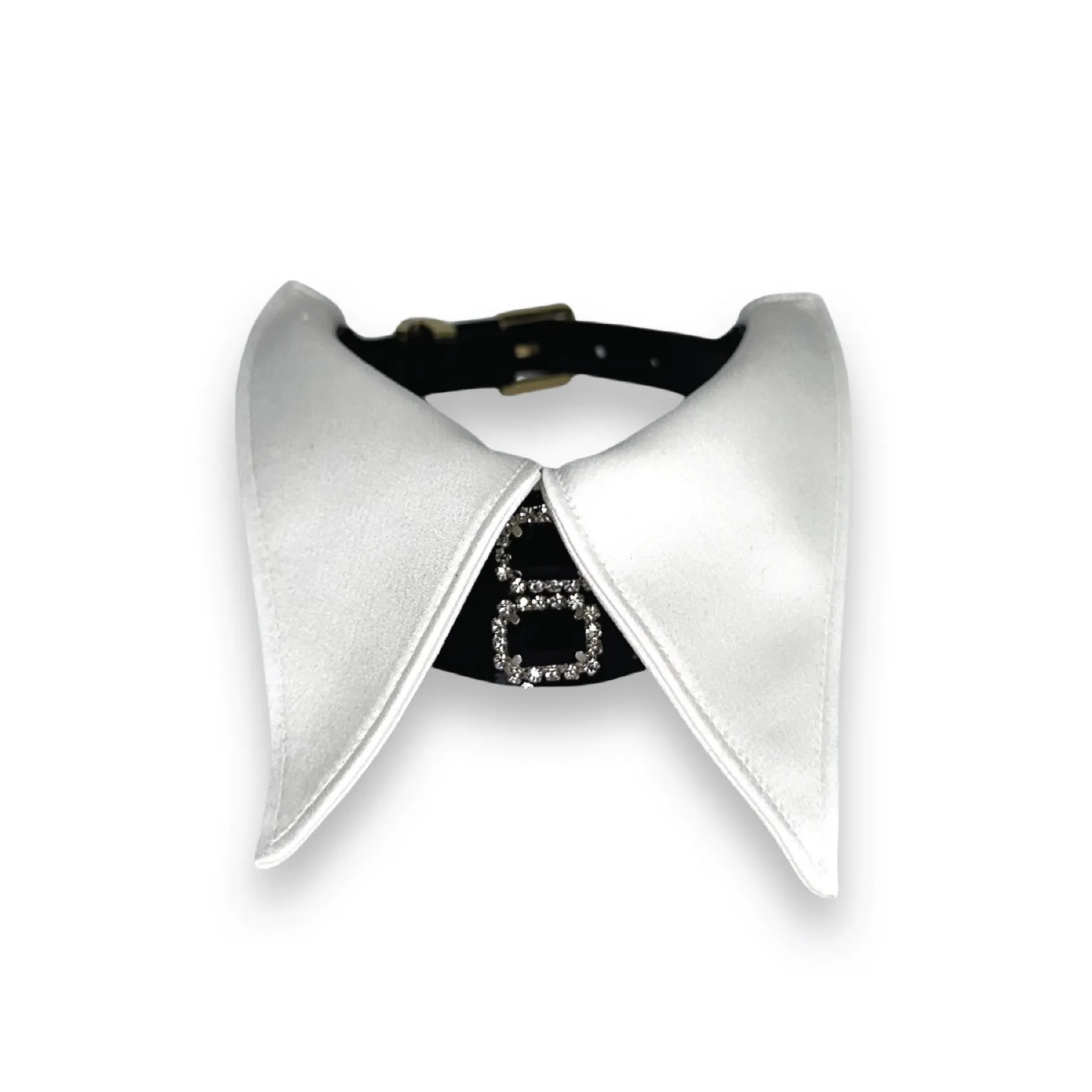 BLACK TIE COLLAR