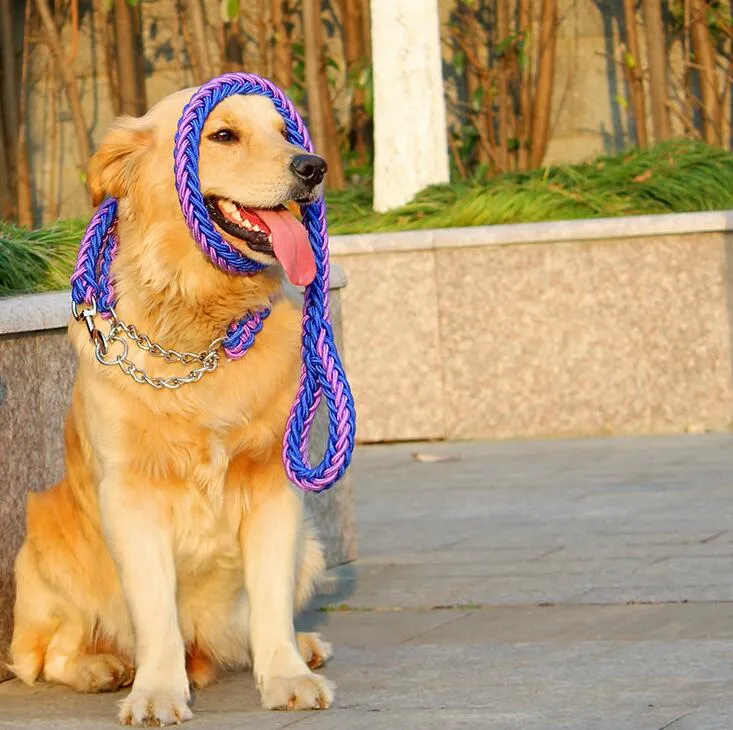 Durable Chain Large Dog Collar Leash Set