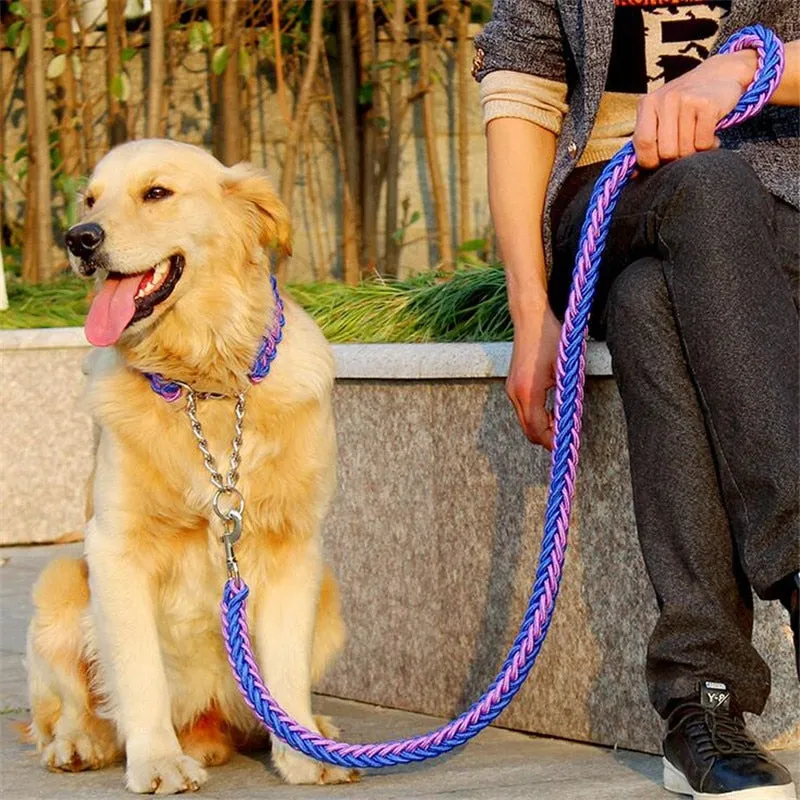 Durable Chain Large Dog Collar Leash Set