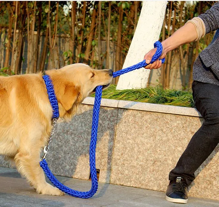 Durable Chain Large Dog Collar Leash Set
