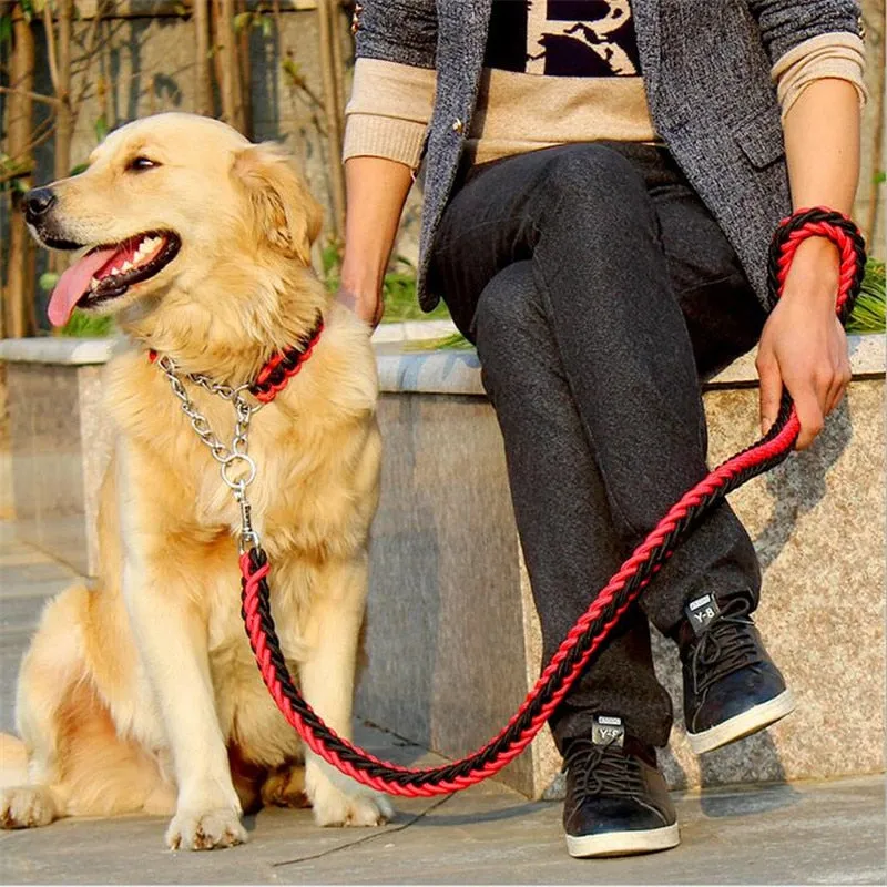 Durable Chain Large Dog Collar Leash Set