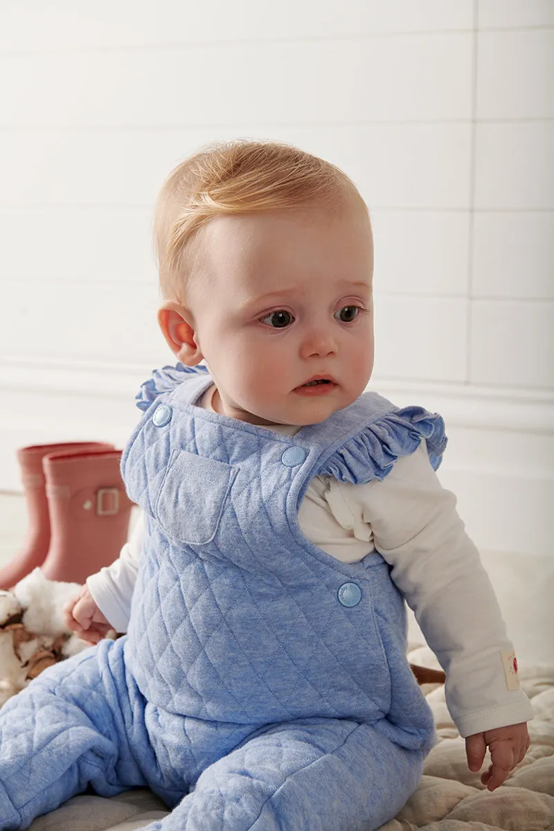 Flutter Overall