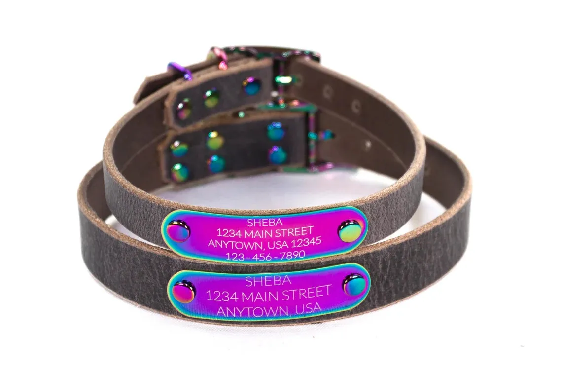 Leather Dog Collar - Rainbow Metal Nameplate   Hardware
