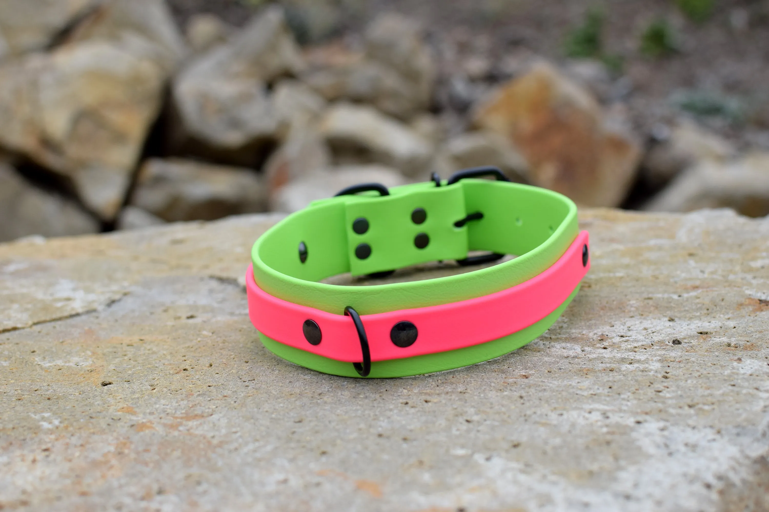 PREMADE COLLECTION - Lime & Hot Pink Biothane Dog Collar