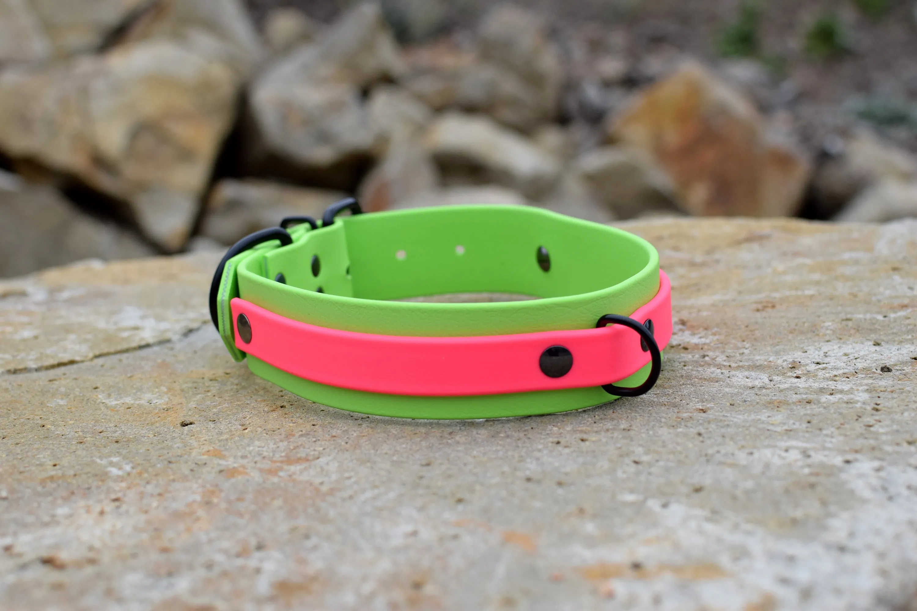 PREMADE COLLECTION - Lime & Hot Pink Biothane Dog Collar