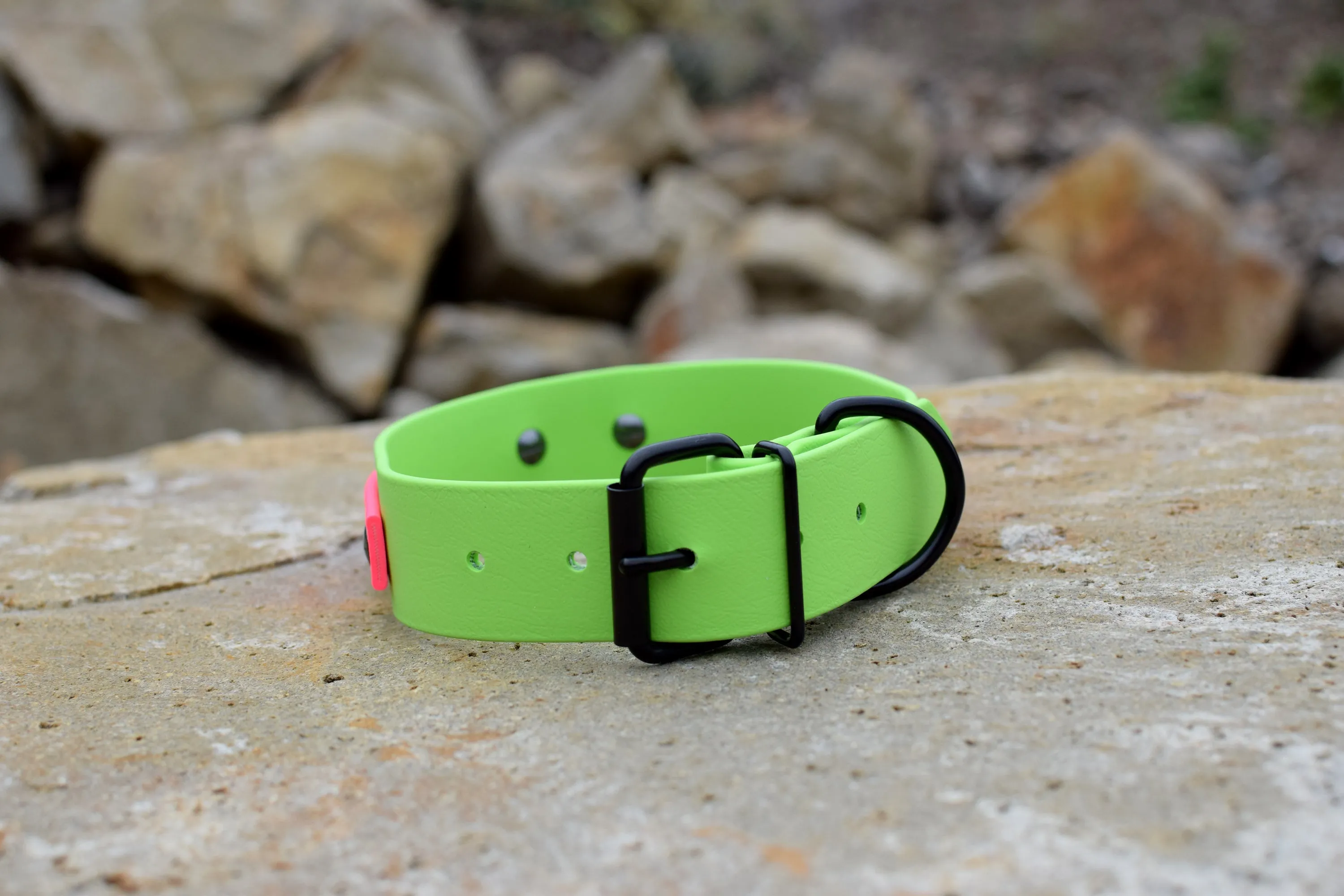 PREMADE COLLECTION - Lime & Hot Pink Biothane Dog Collar