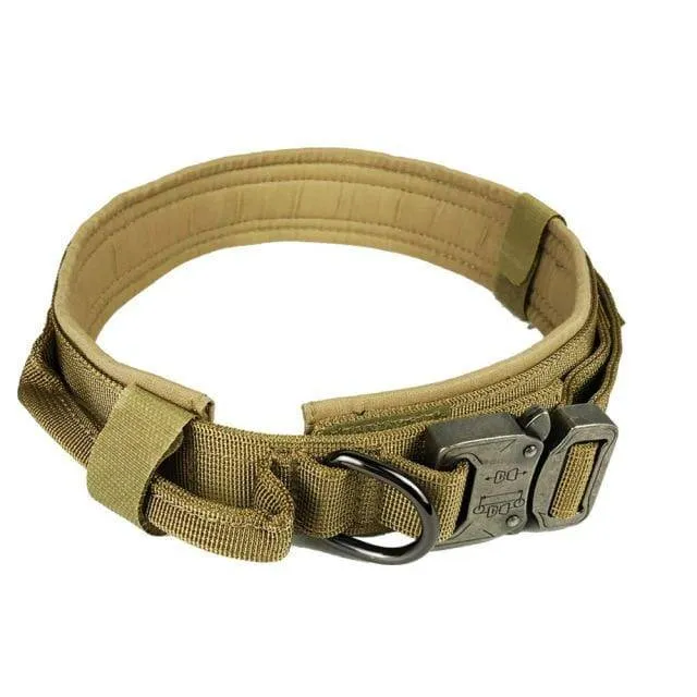 Tactical Dog Collars