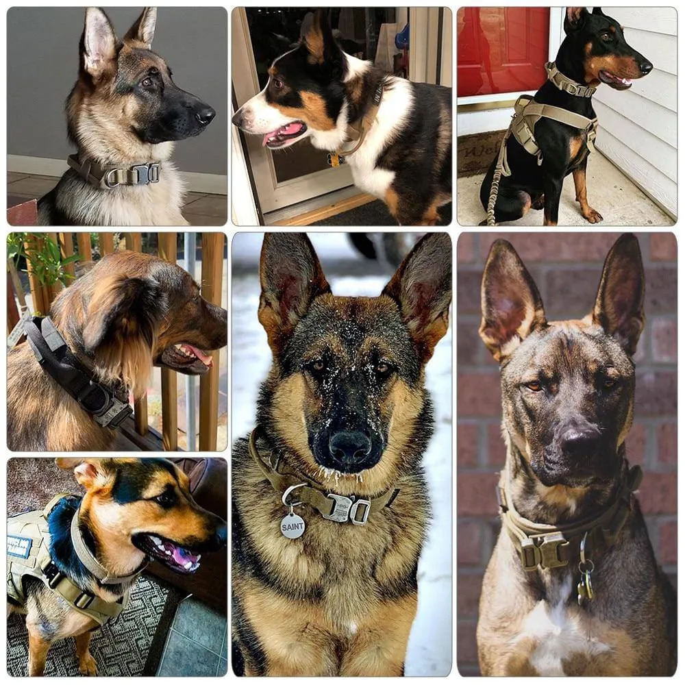 Tactical Dog Collars