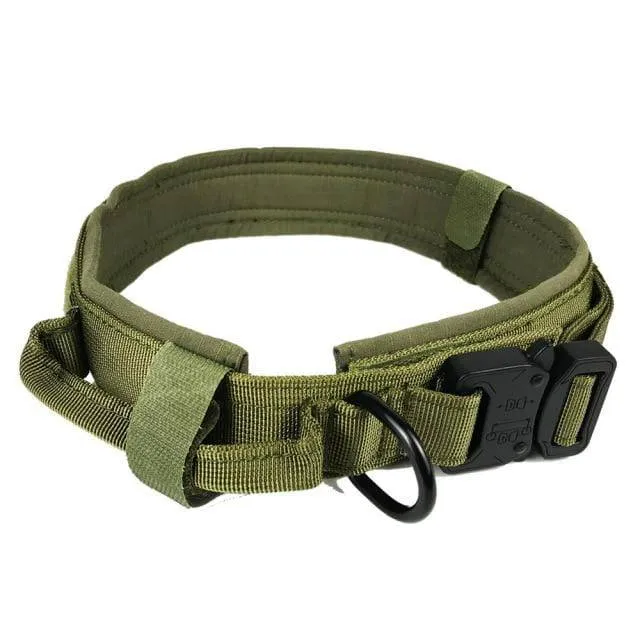 Tactical Dog Collars