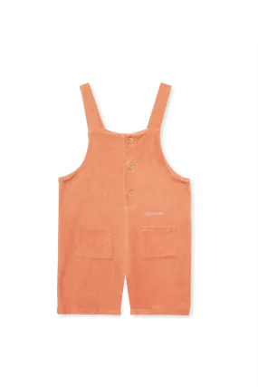Tide Overall Terra