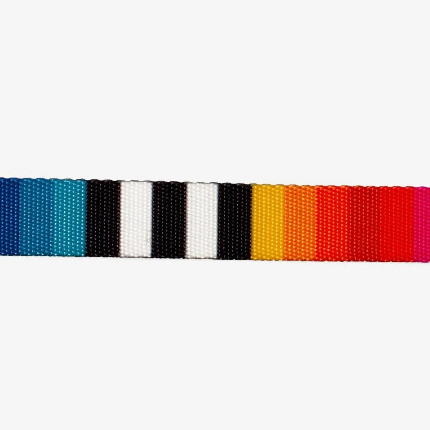 Zee.Cat Prisma Cat Collar